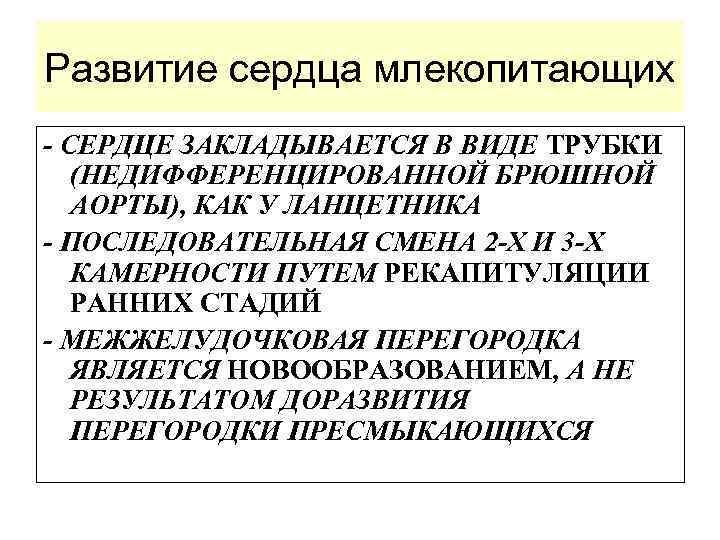 Развитие сердца млекопитающих - СЕРДЦЕ ЗАКЛАДЫВАЕТСЯ В ВИДЕ ТРУБКИ (НЕДИФФЕРЕНЦИРОВАННОЙ БРЮШНОЙ АОРТЫ), КАК У