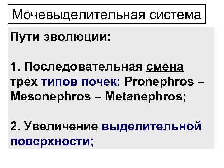 Мочевыделительная система Пути эволюции: 1. Последовательная смена трех типов почек: Pronephros – Mesonephros –