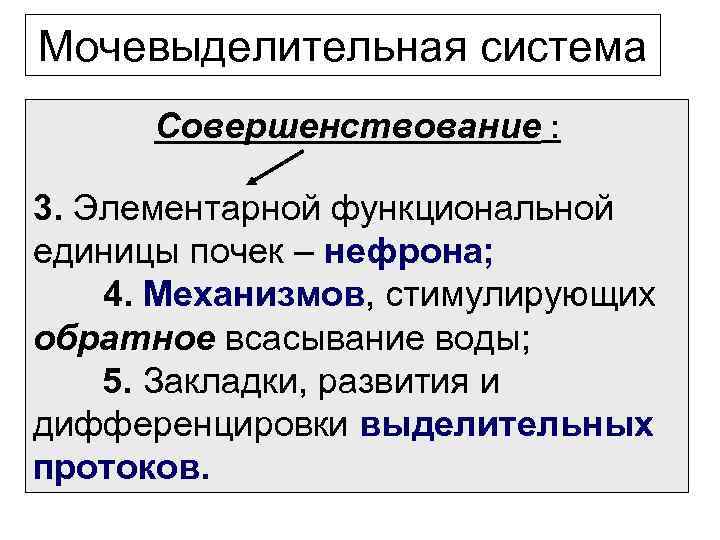 Мочевыделительная система Совершенствование : 3. Элементарной функциональной единицы почек – нефрона; 4. Механизмов, стимулирующих