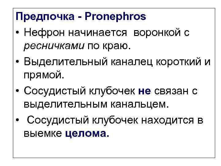 Предпочка - Pronephros • Нефрон начинается воронкой с ресничками по краю. • Выделительный каналец