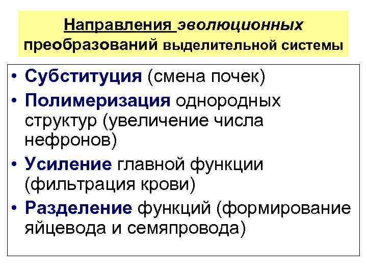 Направления эволюционных преобразований выделительной системы • Субституция (смена почек) • Полимеризация однородных структур (увеличение