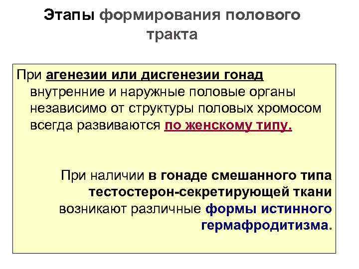 Этапы формирования полового тракта При агенезии или дисгенезии гонад внутренние и наружные половые органы