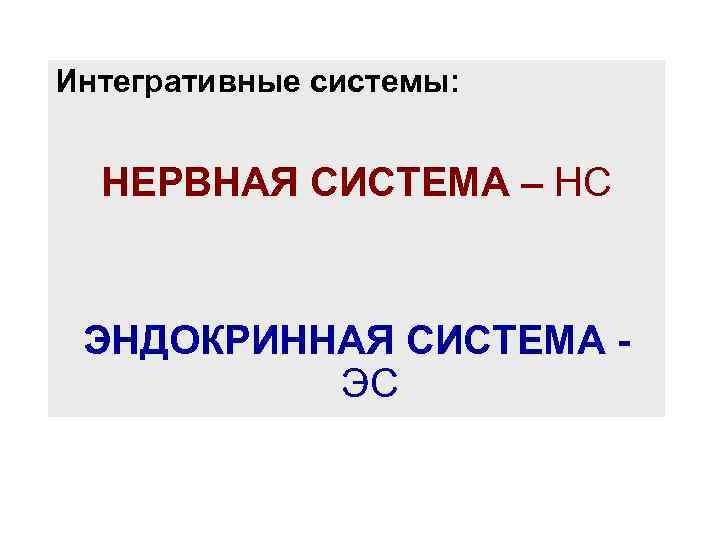 Интегративные системы: НЕРВНАЯ СИСТЕМА – НС ЭНДОКРИННАЯ СИСТЕМА - ЭС 