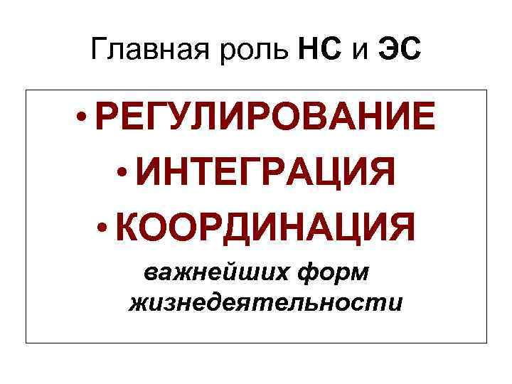 Главная роль НС и ЭС • РЕГУЛИРОВАНИЕ • ИНТЕГРАЦИЯ • КООРДИНАЦИЯ важнейших форм жизнедеятельности