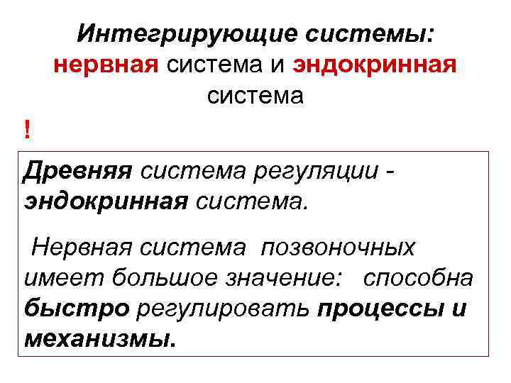 Интегрирующие системы: нервная система и эндокринная система ! Древняя система регуляции эндокринная система. Нервная