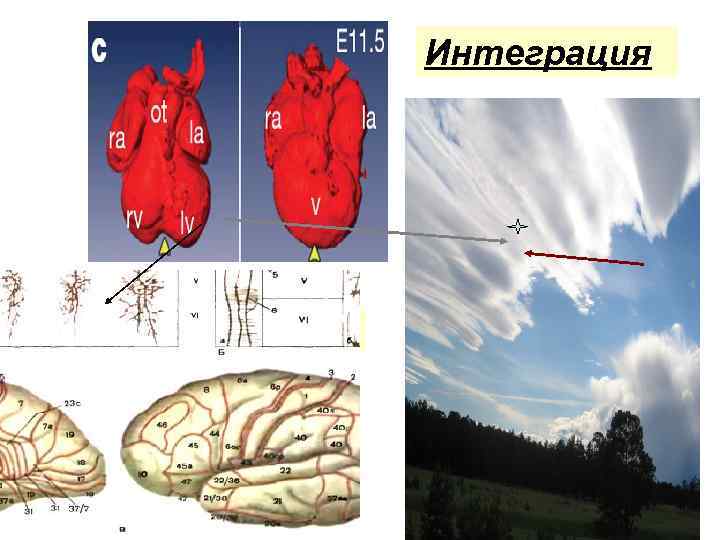 Интеграция 