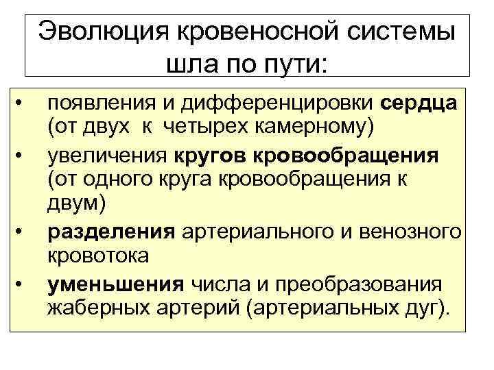 Эволюция кровеносной системы шла по пути: • • появления и дифференцировки сердца (от двух