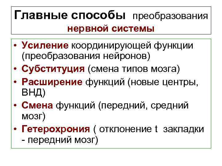 Главные способы преобразования нервной системы • Усиление координирующей функции (преобразования нейронов) • Субституция (смена