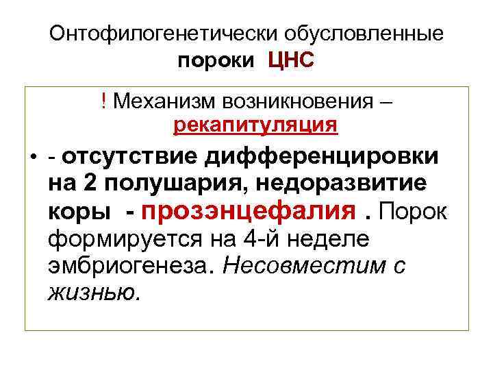 Онтофилогенетически обусловленные пороки ЦНС ! Механизм возникновения – рекапитуляция • - отсутствие дифференцировки на