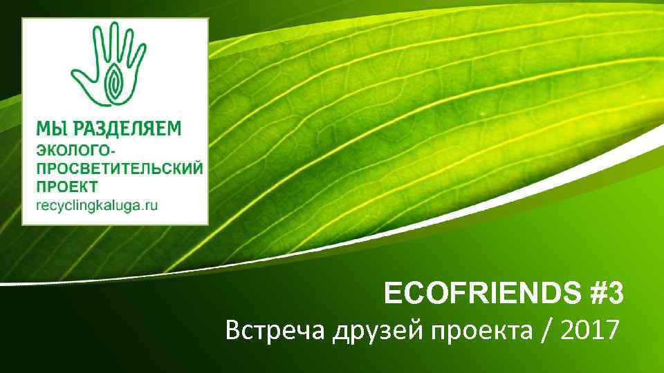 ECOFRIENDS #3 Встреча друзей проекта / 2017 