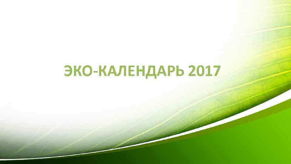 ЭКО-КАЛЕНДАРЬ 2017 