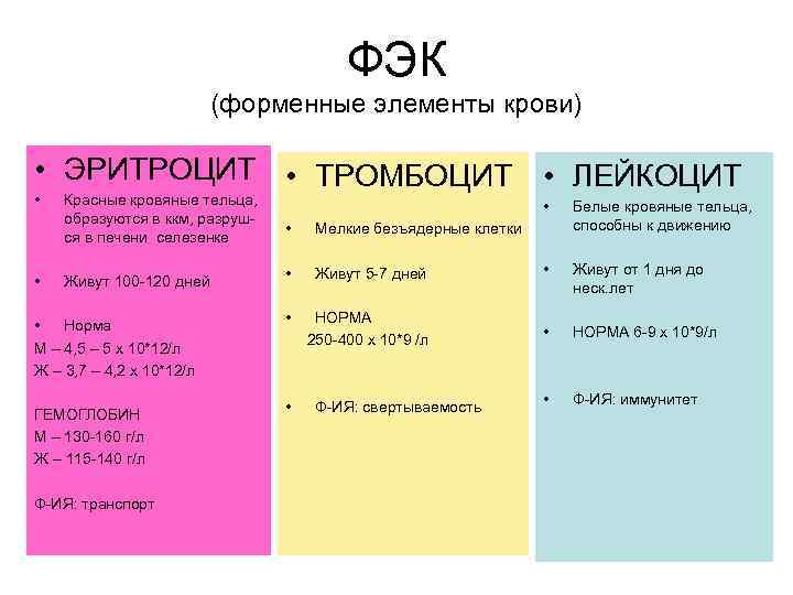 ФЭК (форменные элементы крови) • ЭРИТРОЦИТ • ТРОМБОЦИТ • ЛЕЙКОЦИТ • • Красные кровяные