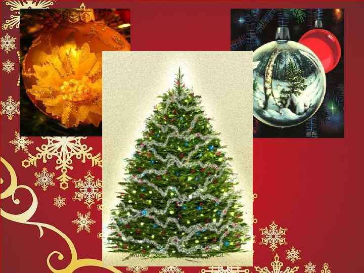 МАОУ СОШ № 46 Степанова Л. И. 