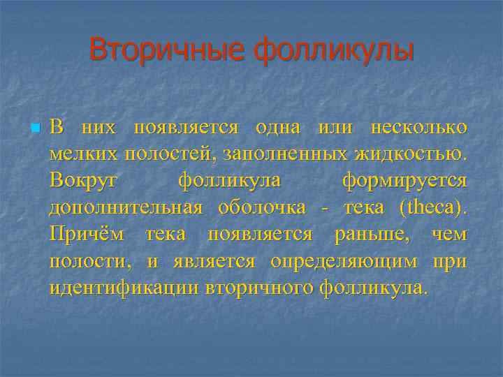 Вторичные фолликулы n В них появляется одна или несколько мелких полостей, заполненных жидкостью. Вокруг