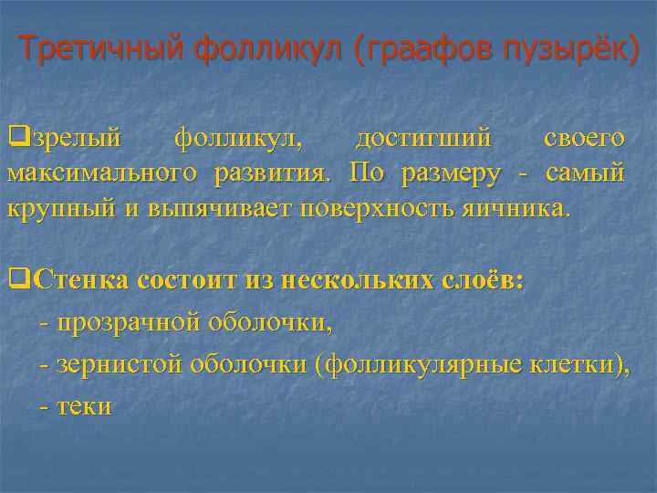 Третичный фолликул (граафов пузырёк) qзрелый фолликул, достигший своего максимального развития. По размеру - самый