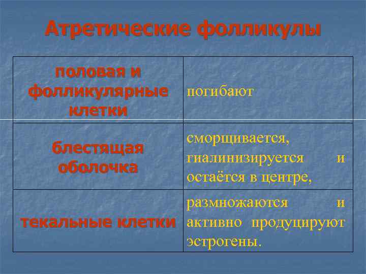 Атретические фолликулы половая и фолликулярные клетки блестящая оболочка погибают сморщивается, гиалинизируется остаётся в центре,