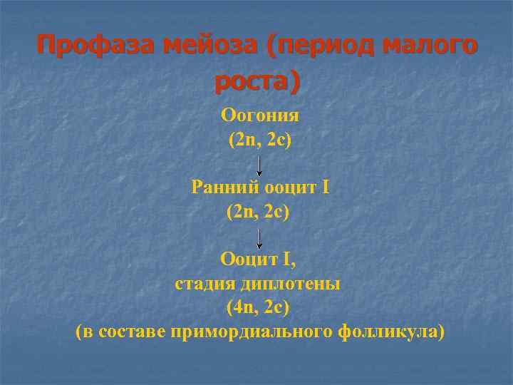Профаза мейоза (период малого роста) Оогония (2 n, 2 с) Ранний ооцит I (2