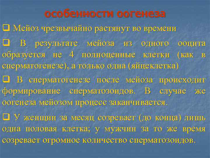 особенности оогенеза q Мейоз чрезвычайно растянут во времени q В результате мейоза из одного