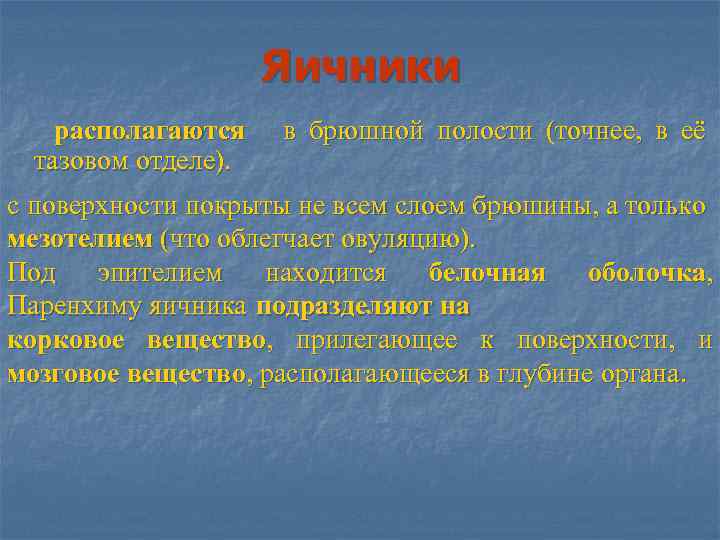 Яичники располагаются в брюшной полости (точнее, в её тазовом отделе). с поверхности покрыты не