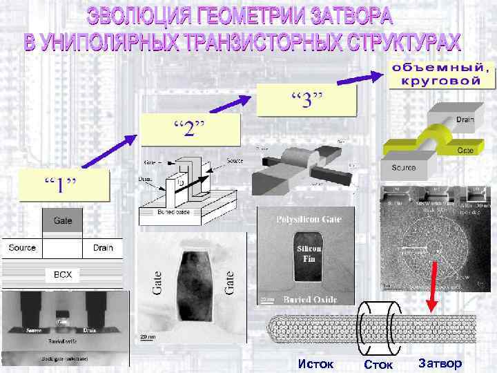 Исток Сток Затвор 