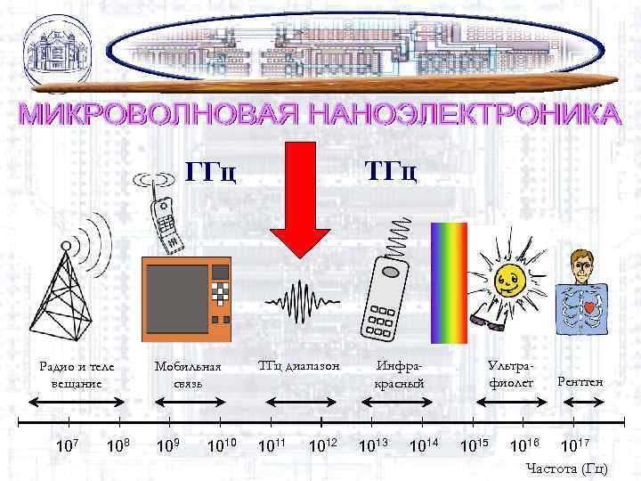 ТГц ГГц Радио и теле вещание 107 108 Мобильная связь ТГц диапазон 109 1011