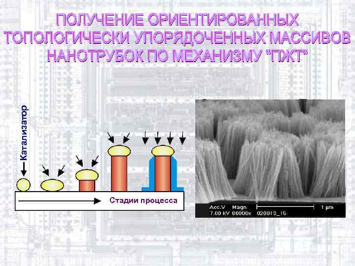 Катализатор Стадии процесса 