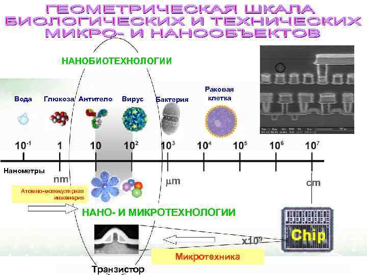 НАНОБИОТЕХНОЛОГИИ Вода Глюкоза Антитело Вирус Бактерия Раковая клетка Нанометры Атомно-молекулярная инженерия НАНО- И МИКРОТЕХНОЛОГИИ