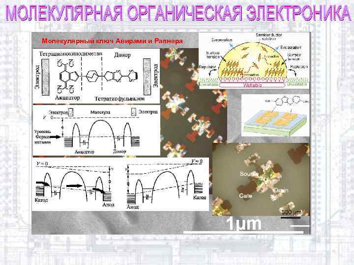 Молекулярный ключ Авирами и Рапнера 