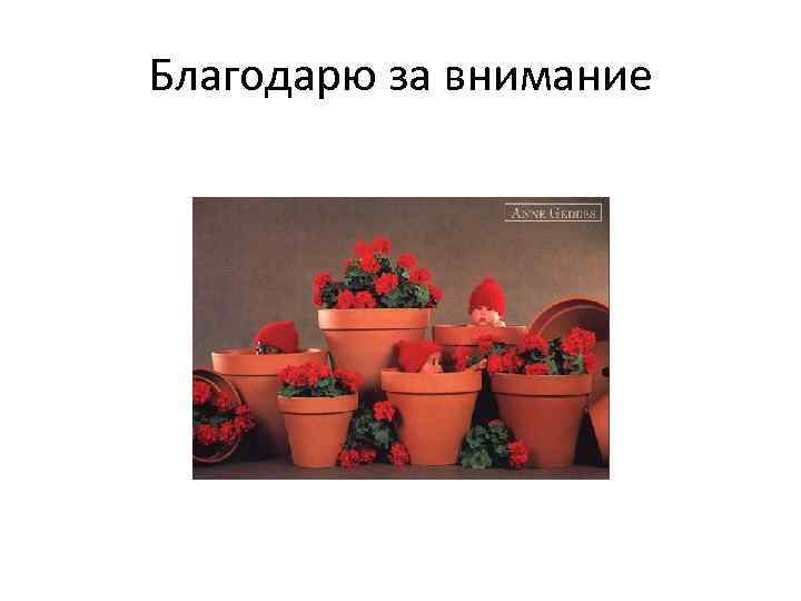 Благодарю за внимание 