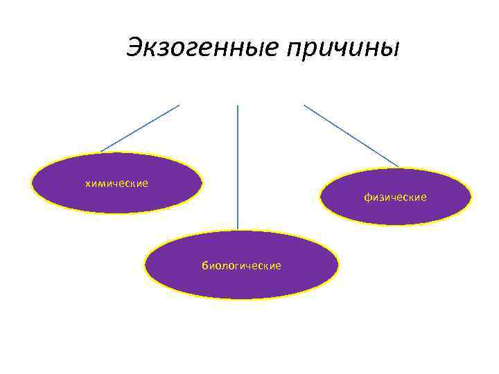 Экзогенные причины химические физические биологические 