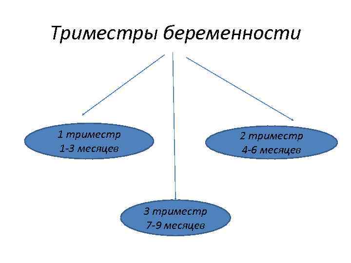 Триместры беременности 1 триместр 1 -3 месяцев 2 триместр 4 -6 месяцев 3 триместр