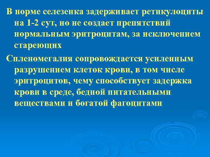 В норме селезенка задерживает ретикулоциты на 1 -2 сут, но не создает препятствий нормальным