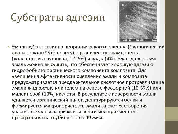 Субстраты адгезии • Эмаль зуба состоит из неорганического вещества (биологический апатит, около 95% по