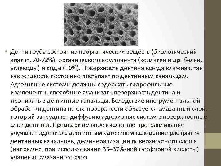  • Дентин зуба состоит из неорганических веществ (биологический апатит, 70 -72%), органического компонента