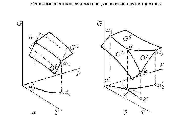 Однокомпонентная система при равновесии двух и трех фаз 