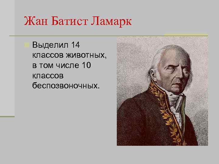 Жан Батист Ламарк n Выделил 14 классов животных, в том числе 10 классов беспозвоночных.