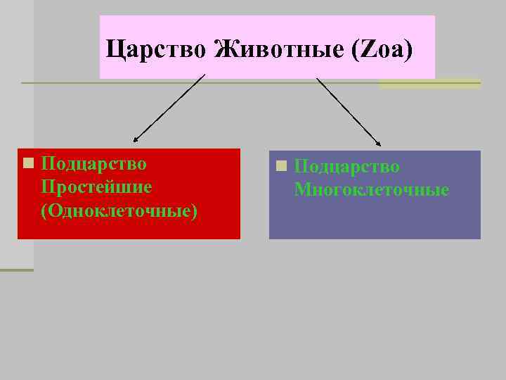 Царство Животные (Zoa) n Подцарство Простейшие (Одноклеточные) n Подцарство Многоклеточные 