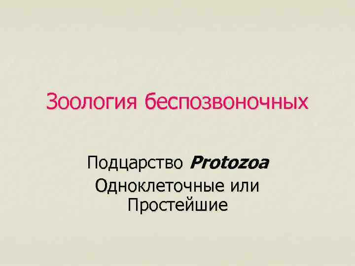 Зоология беспозвоночных Подцарство Protozoa Одноклеточные или Простейшие 