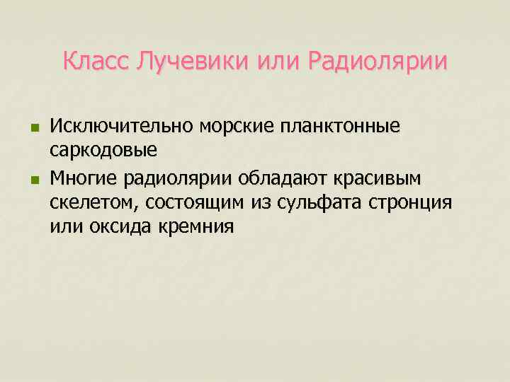 Класс Лучевики или Радиолярии n n Исключительно морские планктонные саркодовые Многие радиолярии обладают красивым