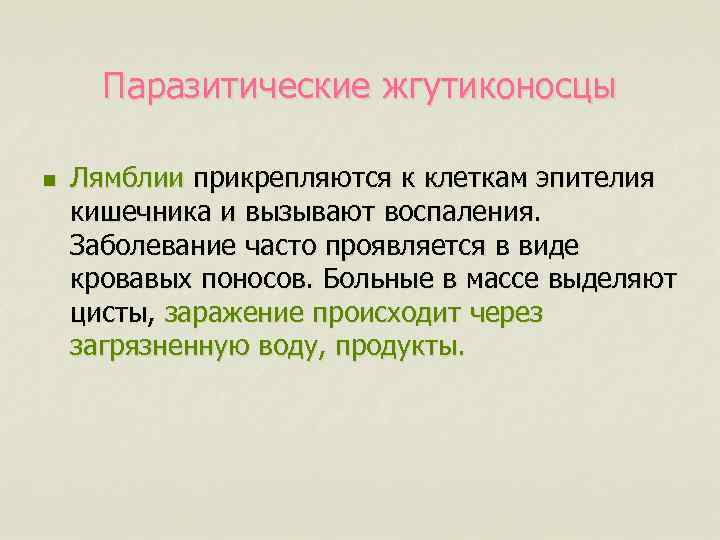 Паразитические жгутиконосцы n Лямблии прикрепляются к клеткам эпителия кишечника и вызывают воспаления. Заболевание часто