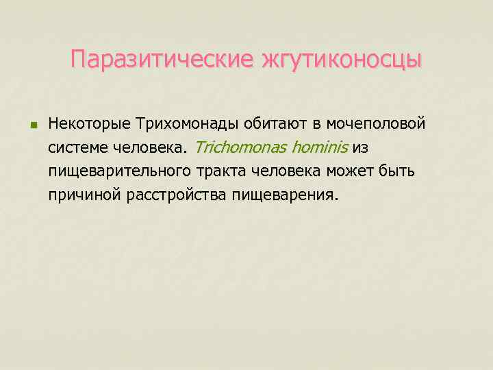 Паразитические жгутиконосцы n Некоторые Трихомонады обитают в мочеполовой системе человека. Trichomonas hominis из пищеварительного