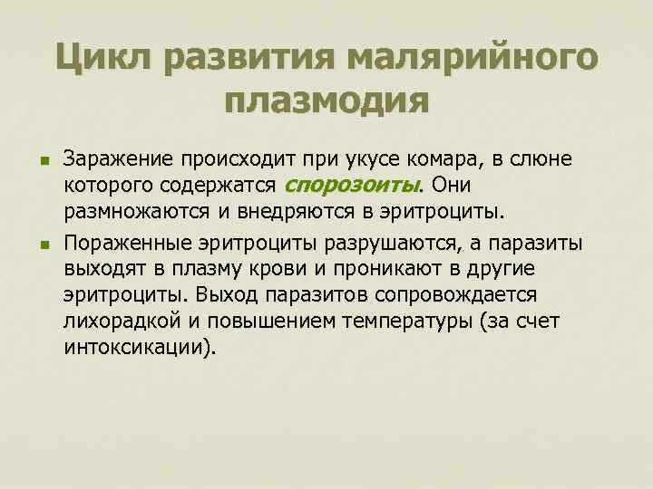 Цикл развития малярийного плазмодия n n Заражение происходит при укусе комара, в слюне которого