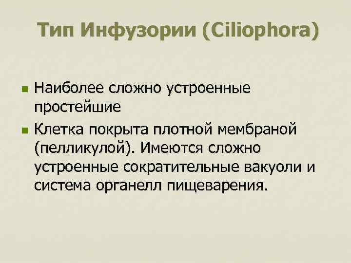 Тип Инфузории (Ciliophora) n n Наиболее сложно устроенные простейшие Клетка покрыта плотной мембраной (пелликулой).