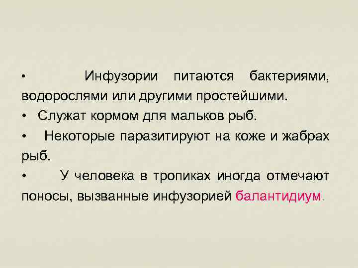 Инфузории питаются бактериями, водорослями или другими простейшими. • Служат кормом для мальков рыб. •