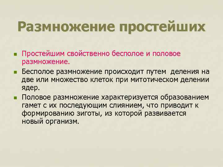 Размножение простейших n n n Простейшим свойственно бесполое и половое размножение. Бесполое размножение происходит