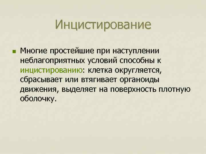 Инцистирование n Многие простейшие при наступлении неблагоприятных условий способны к инцистированию: клетка округляется, сбрасывает