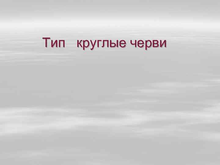 Тип круглые черви 