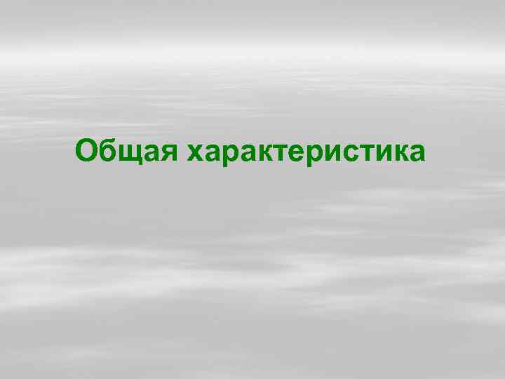 Общая характеристика 