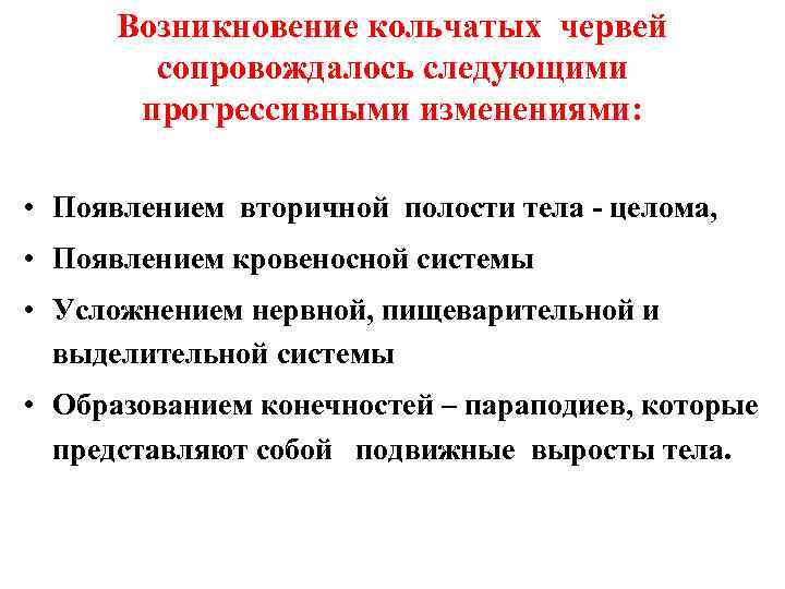 Возникновение кольчатых червей сопровождалось следующими прогрессивными изменениями: • Появлением вторичной полости тела - целома,