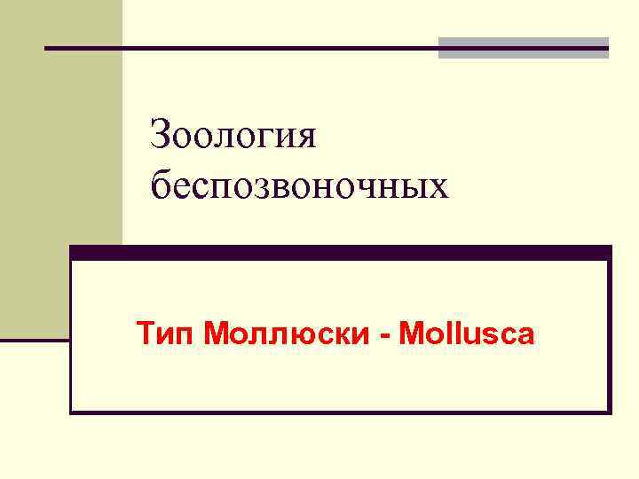 Зоология беспозвоночных Тип Моллюски - Mollusca 